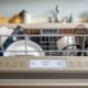 GE dishwasher no power